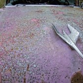 Pink Packard Hood