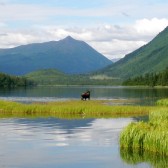 Kenai Alaska