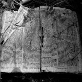 abandoned bible
