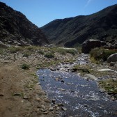 'Water! In the Desert' by Kaitlyn Rose