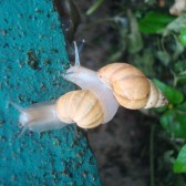 DSC05879
