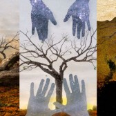 yeasayer_triptych