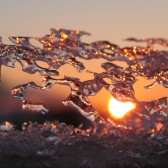 ice