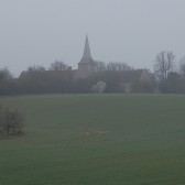 DSC_3504