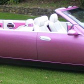 pinklimo4
