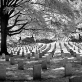feature cemetery
