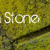 rough stone
