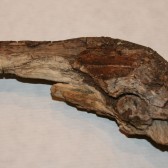 gunstick