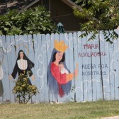 fence mural
