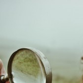 searchfeature
