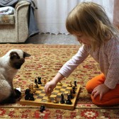 Girl playing chess with a cat