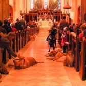 St Francis sanctuary