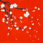 Cherry Blossoms