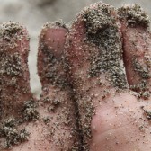 feet
