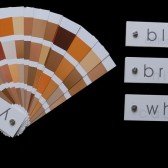 race color swatches