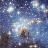 stars