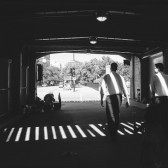 IMG_7824