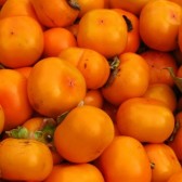 persimmons