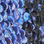 scales2