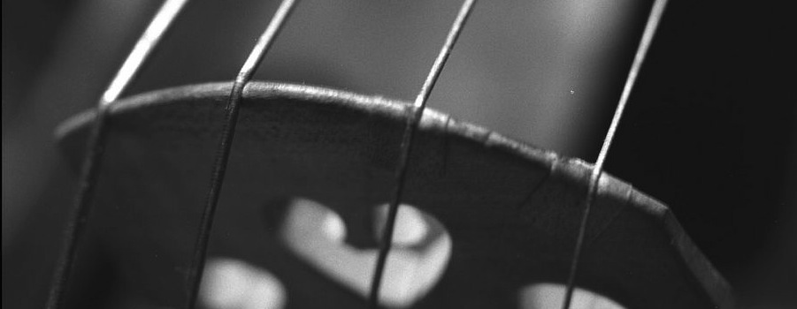 Cello String