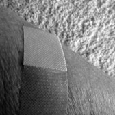 bandaid