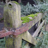 gate