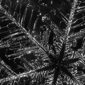 snowflake