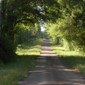east texas