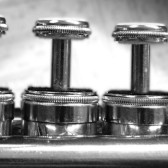 trumpet