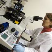 microscope