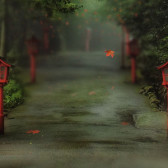 gentle path