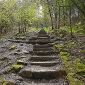 steps