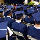 grad pig cropped