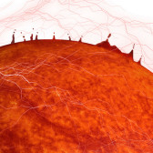 sun illustration